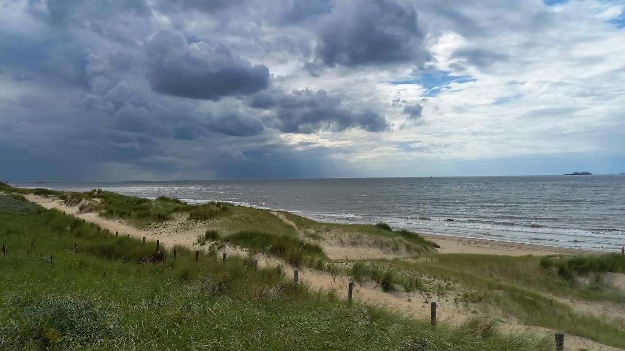 Villa Het Zeepaartje, Knus En Gezellig Noordwijkerhout Esterno foto